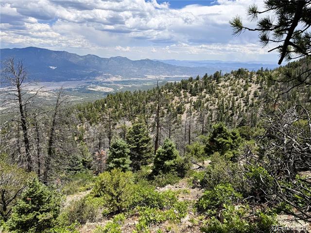 Lot 54 Knotty Pine Road