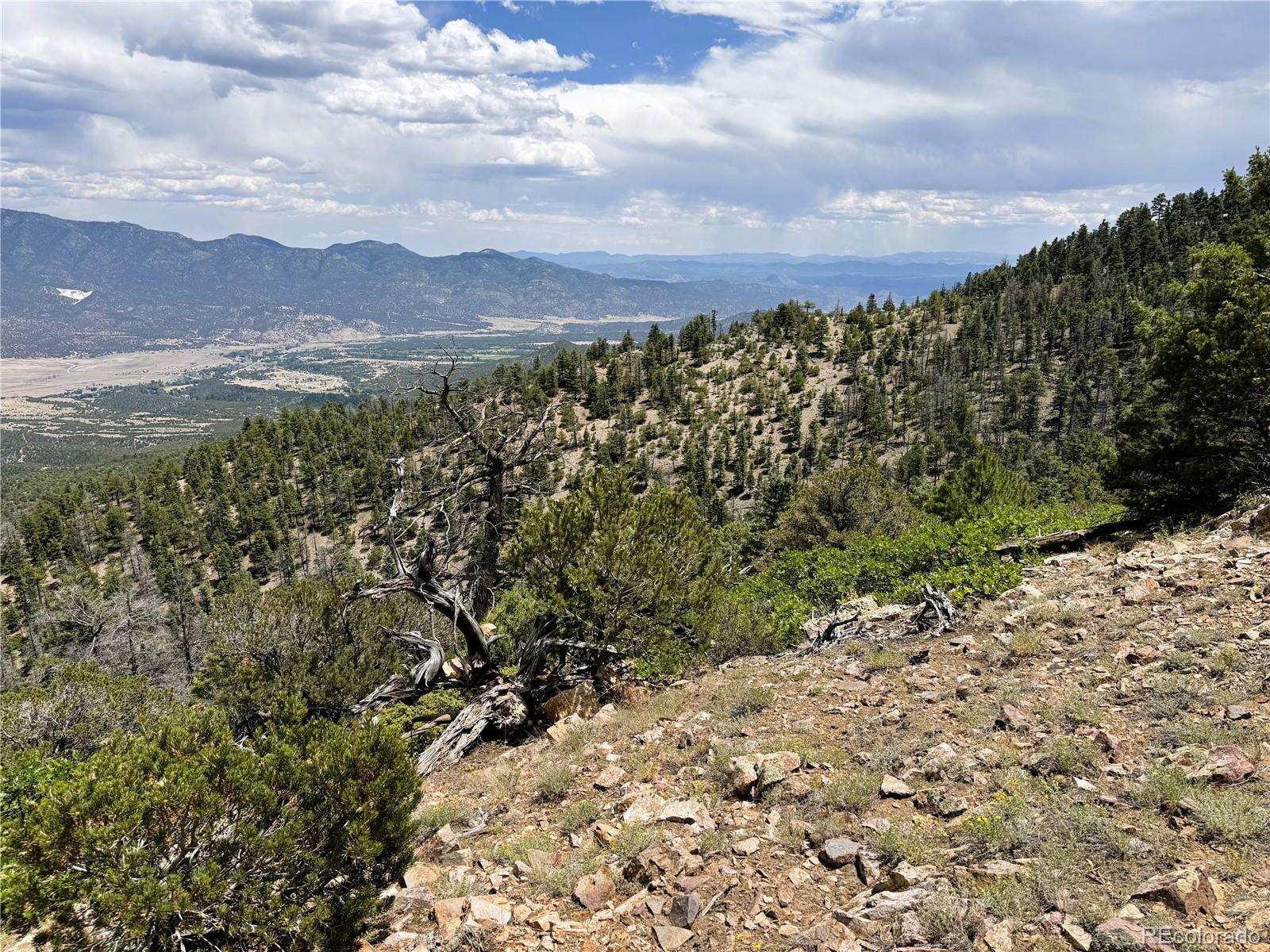 Lot 54 Knotty Pine Road