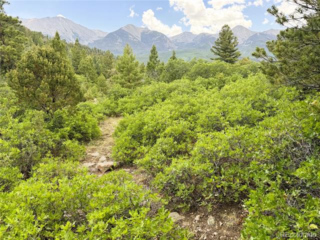 Lot 54 Knotty Pine Road
