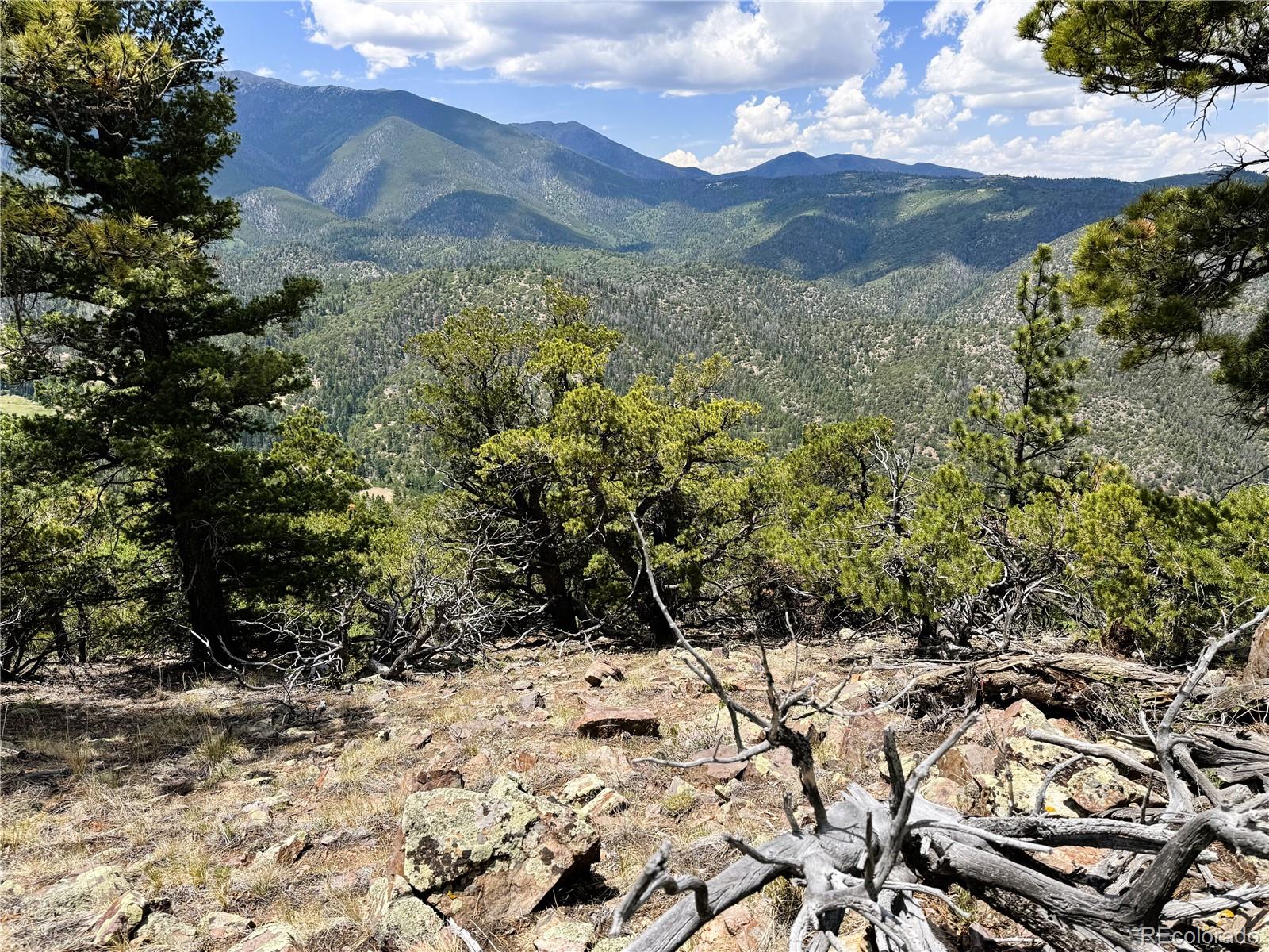 Lot 54 Knotty Pine Road