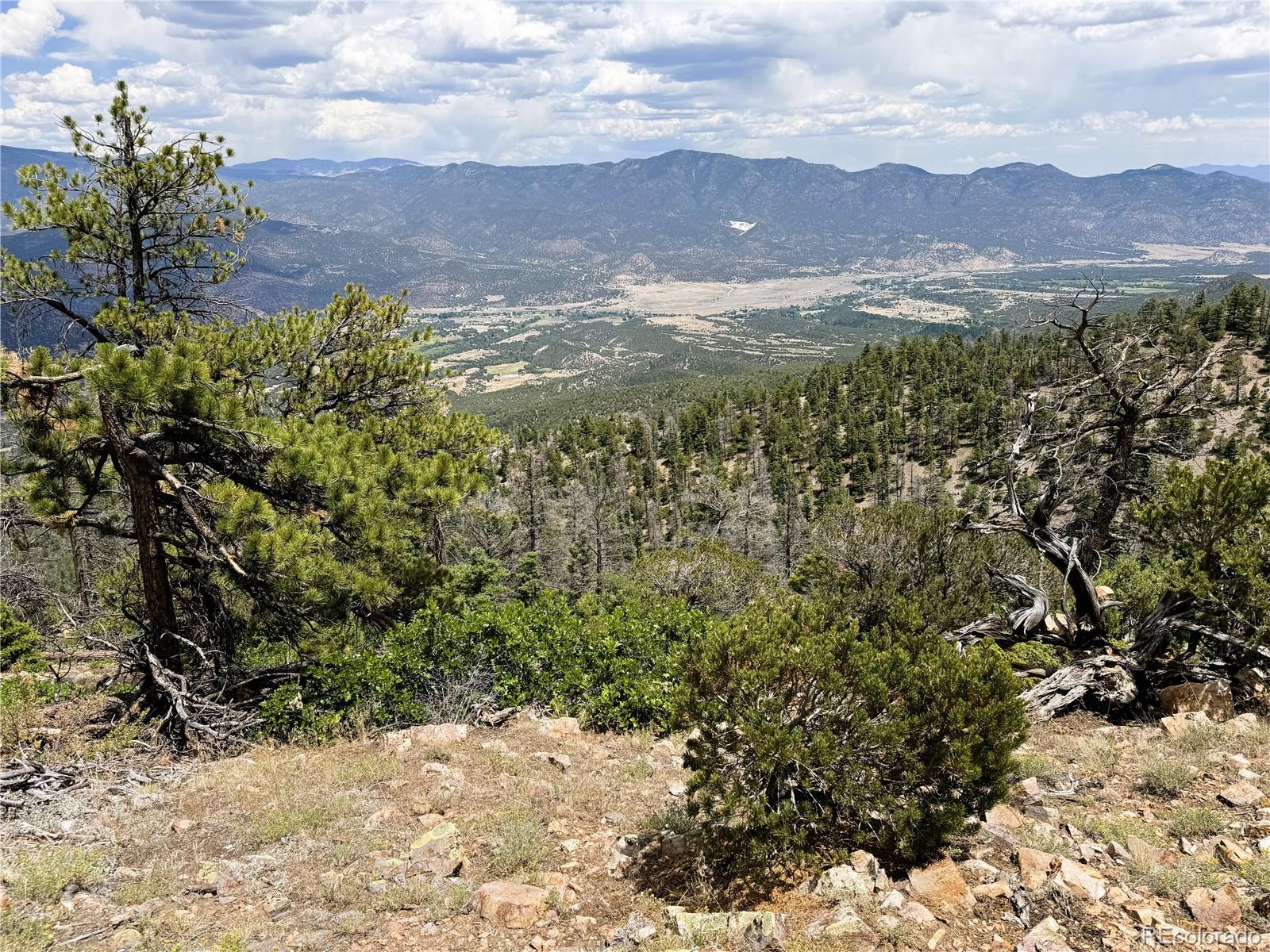 Lot 54 Knotty Pine Road