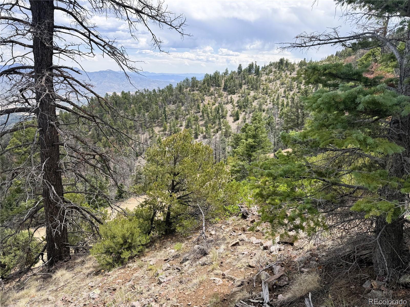 Lot 54 Knotty Pine Road