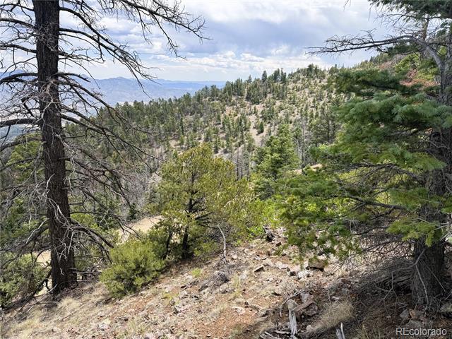Lot 54 Knotty Pine Road