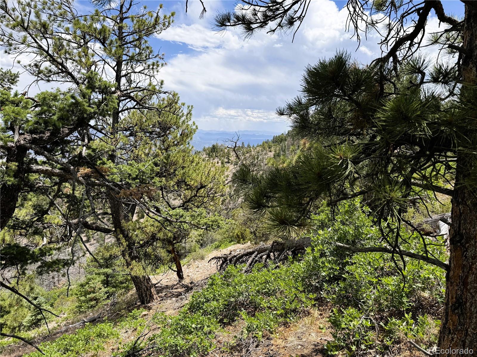 Lot 54 Knotty Pine Road