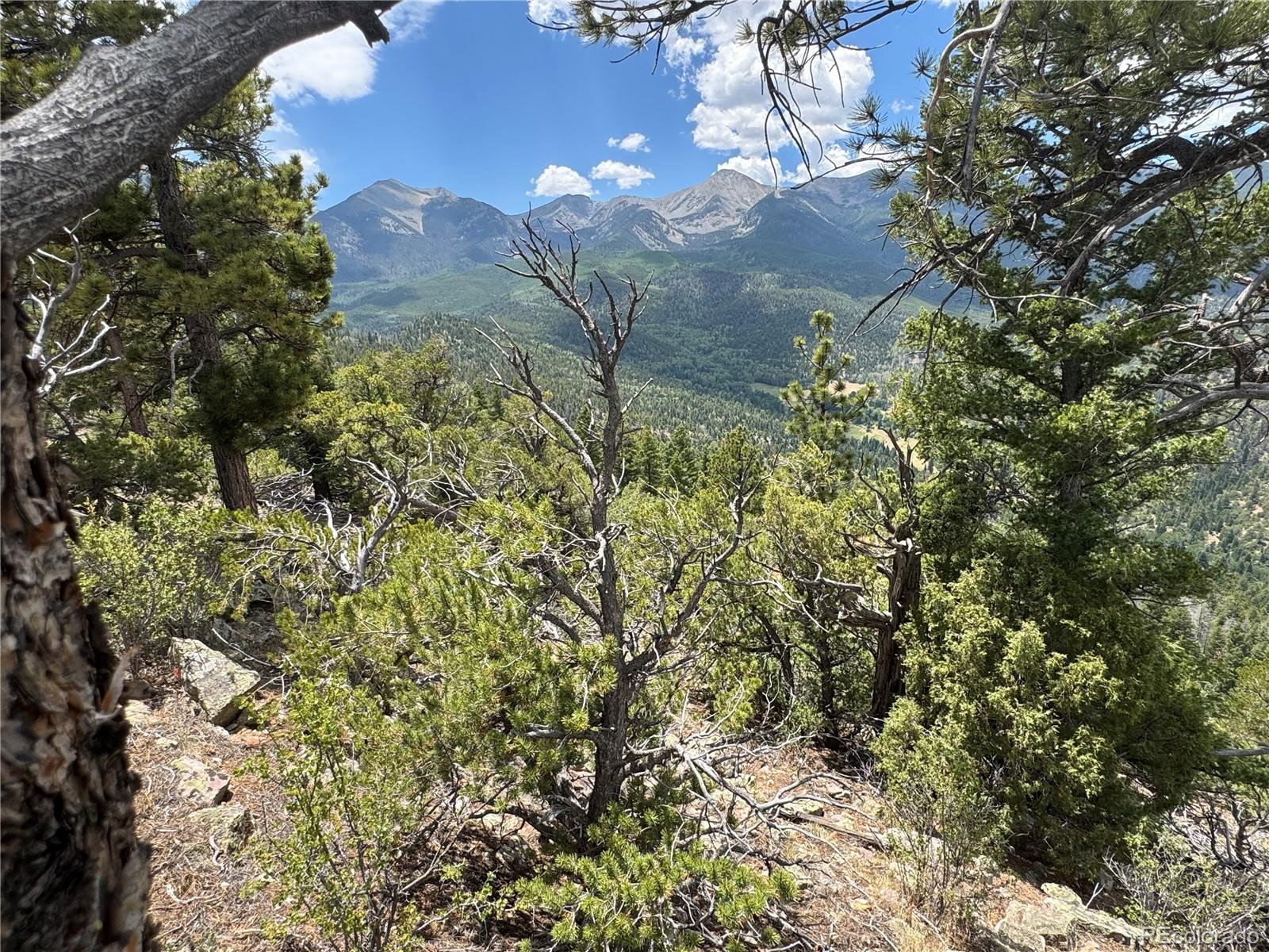 Lot 54 Knotty Pine Road