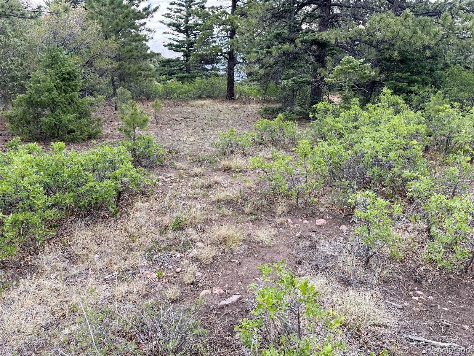 Lot 54 Knotty Pine Road