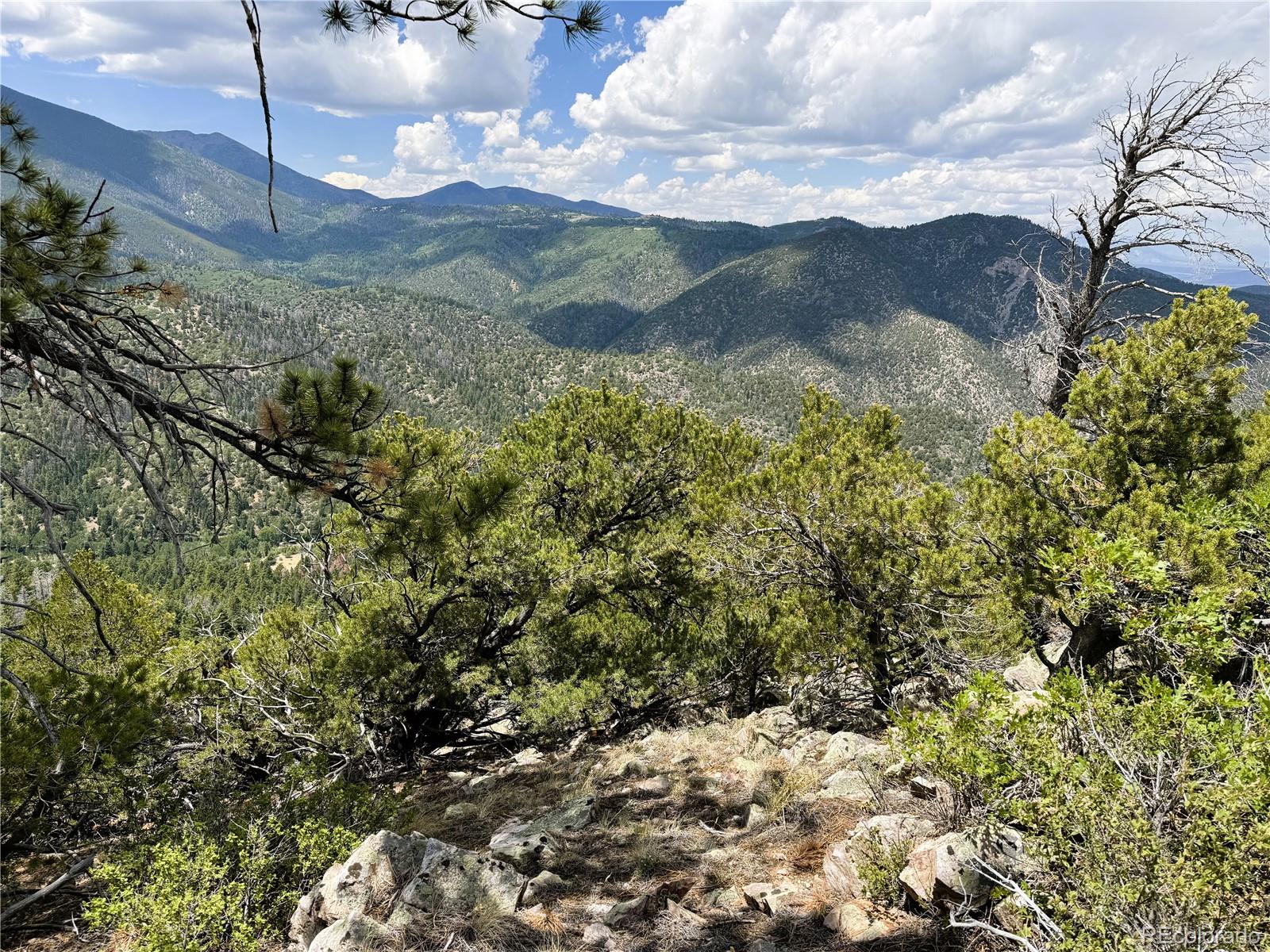 Lot 54 Knotty Pine Road