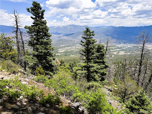 Lot 54 Knotty Pine Road