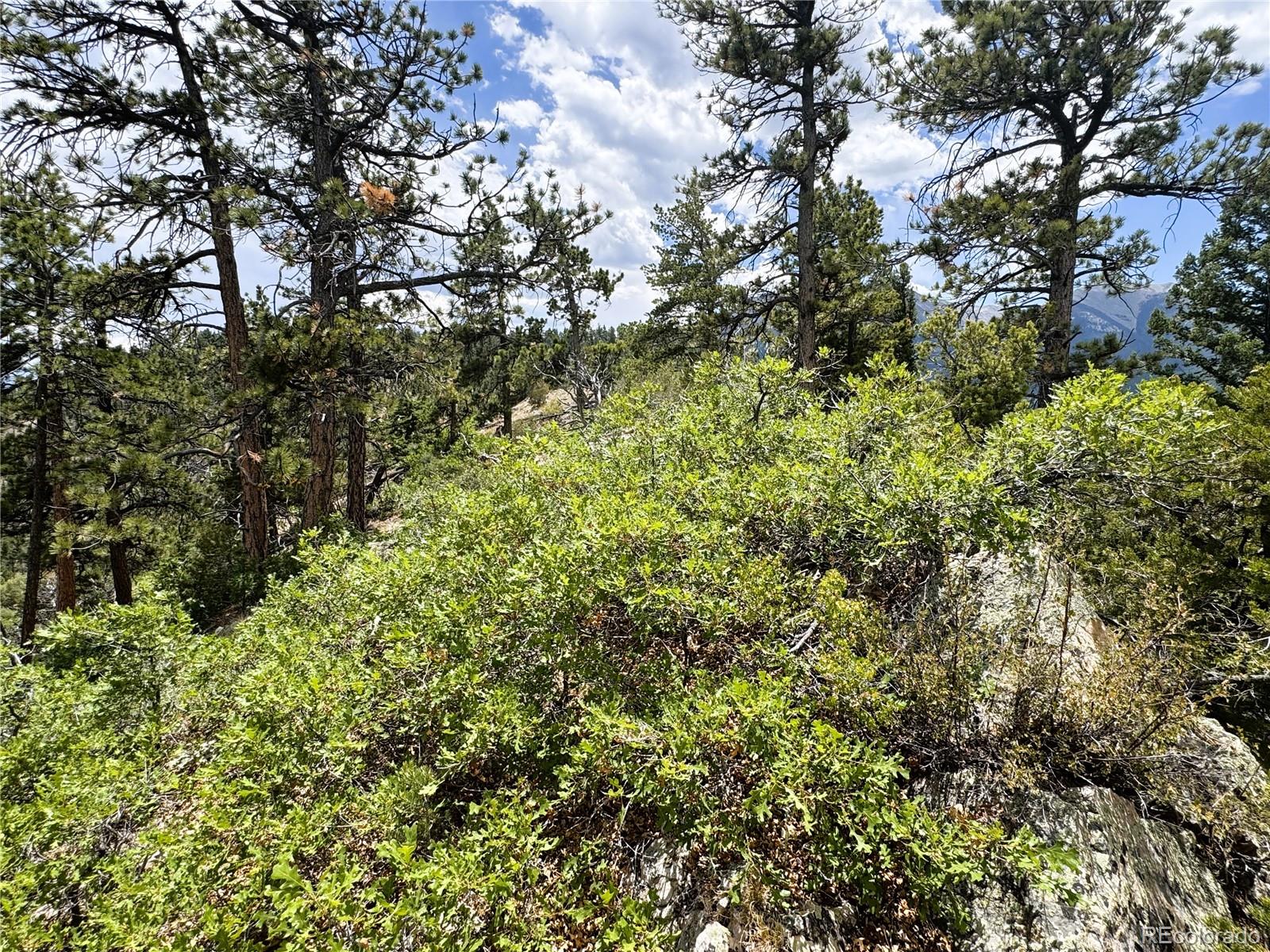 Lot 54 Knotty Pine Road