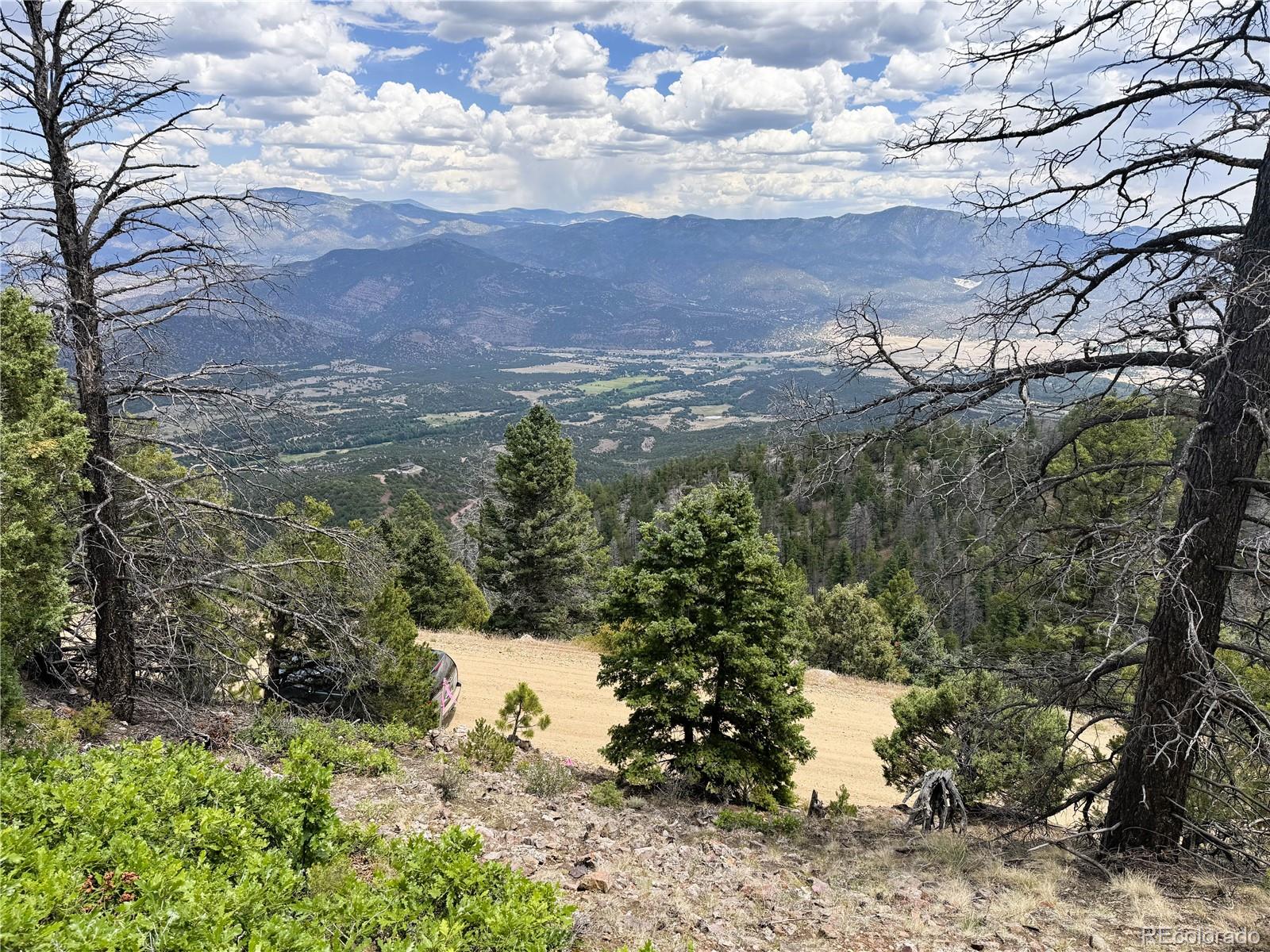 Lot 54 Knotty Pine Road