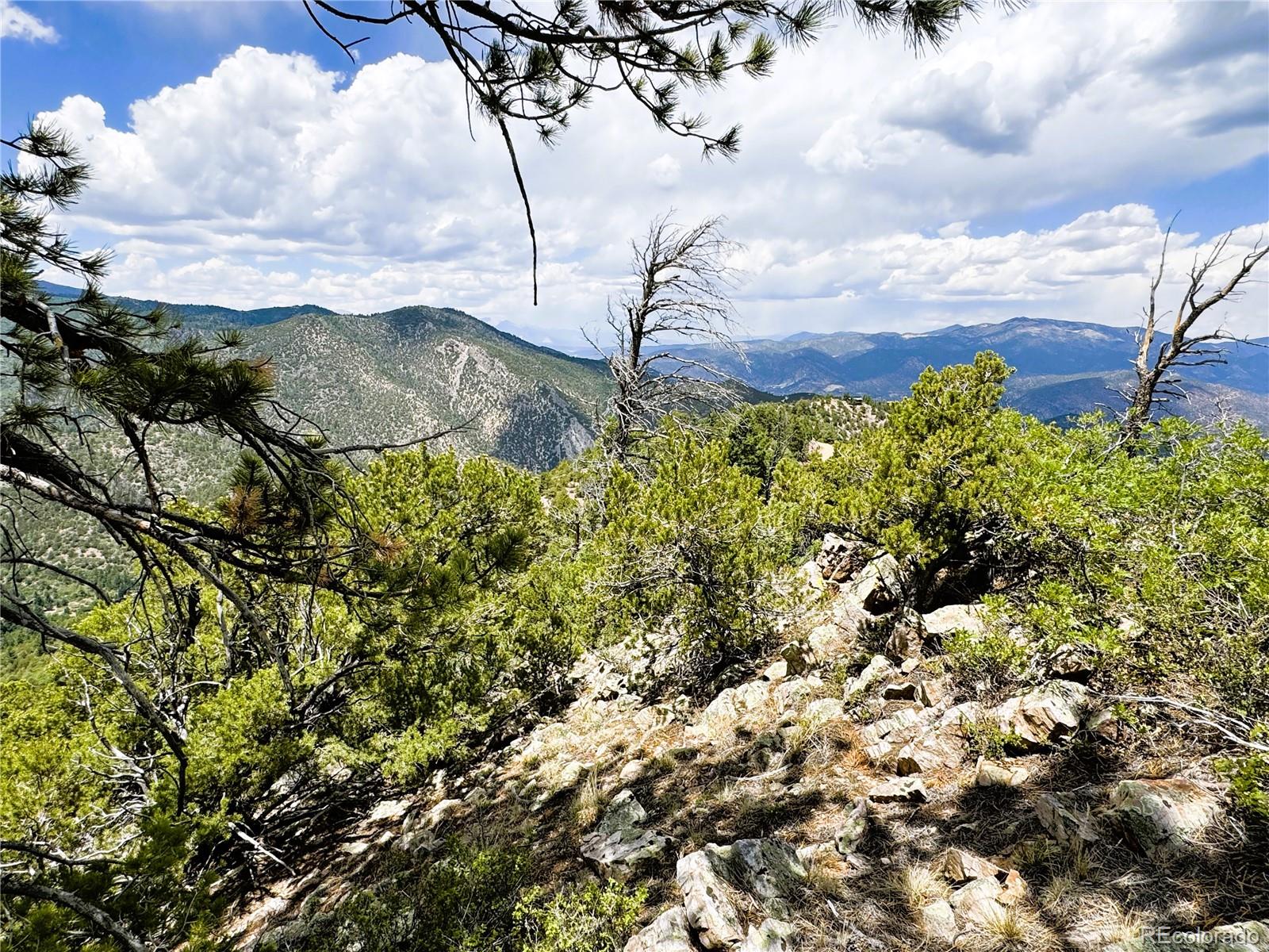 Lot 54 Knotty Pine Road