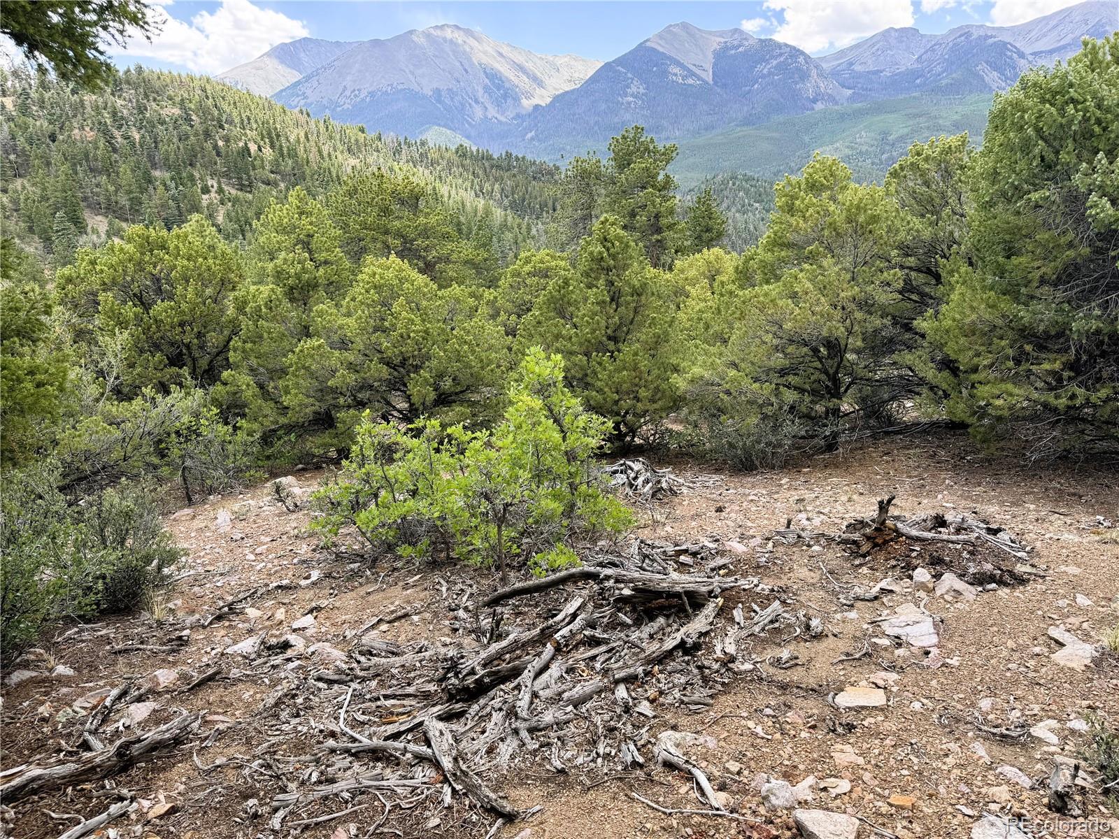 Lot 54 Knotty Pine Road