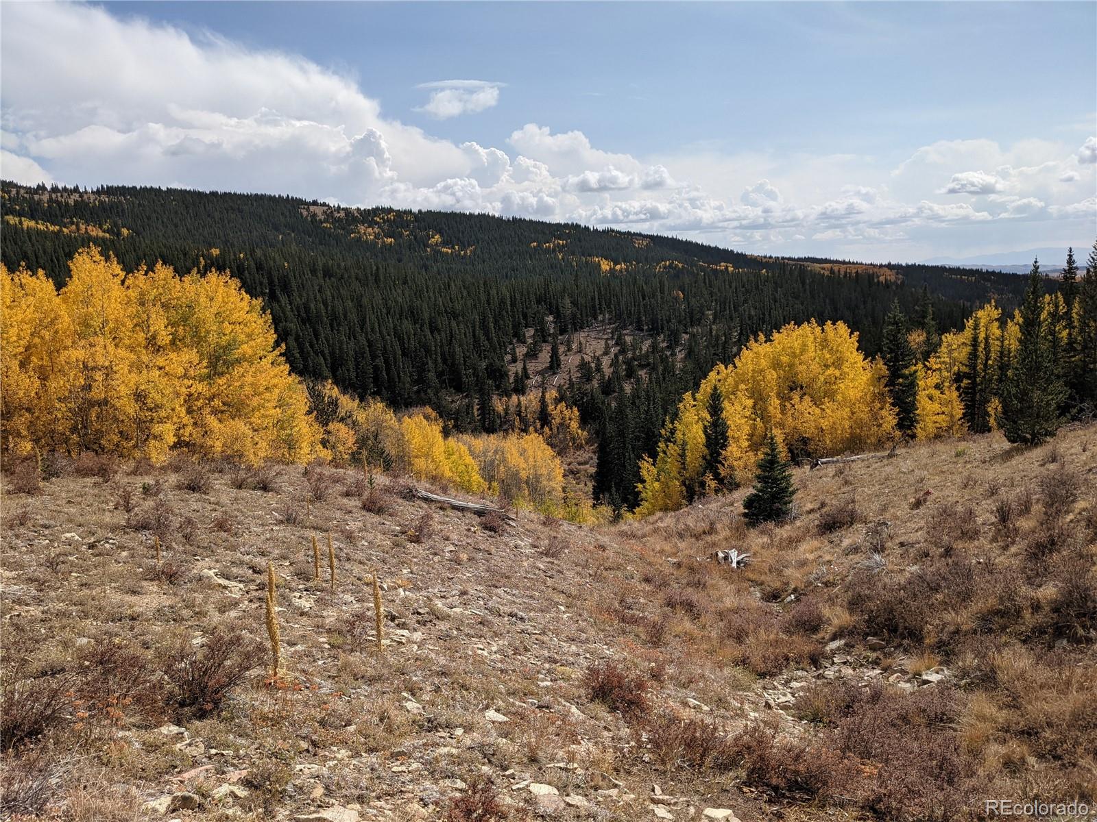 0 Snow Cap Peaks Road