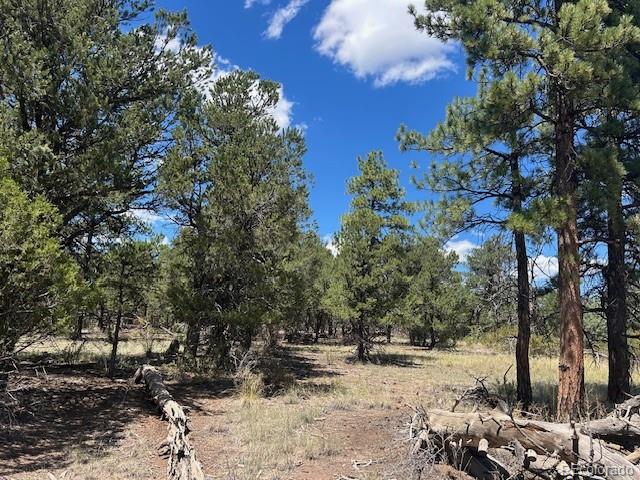 000 29th Trail & L Path