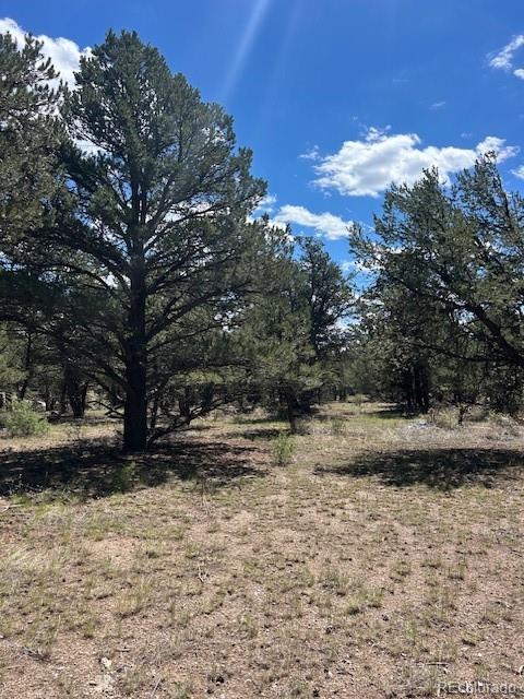 000 29th Trail & L Path