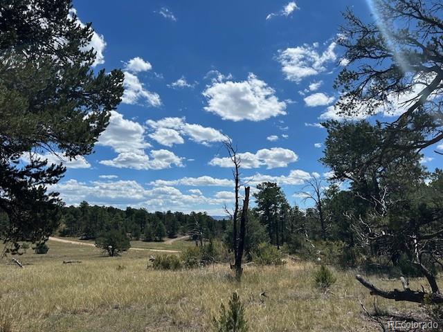 000 29th Trail & L Path