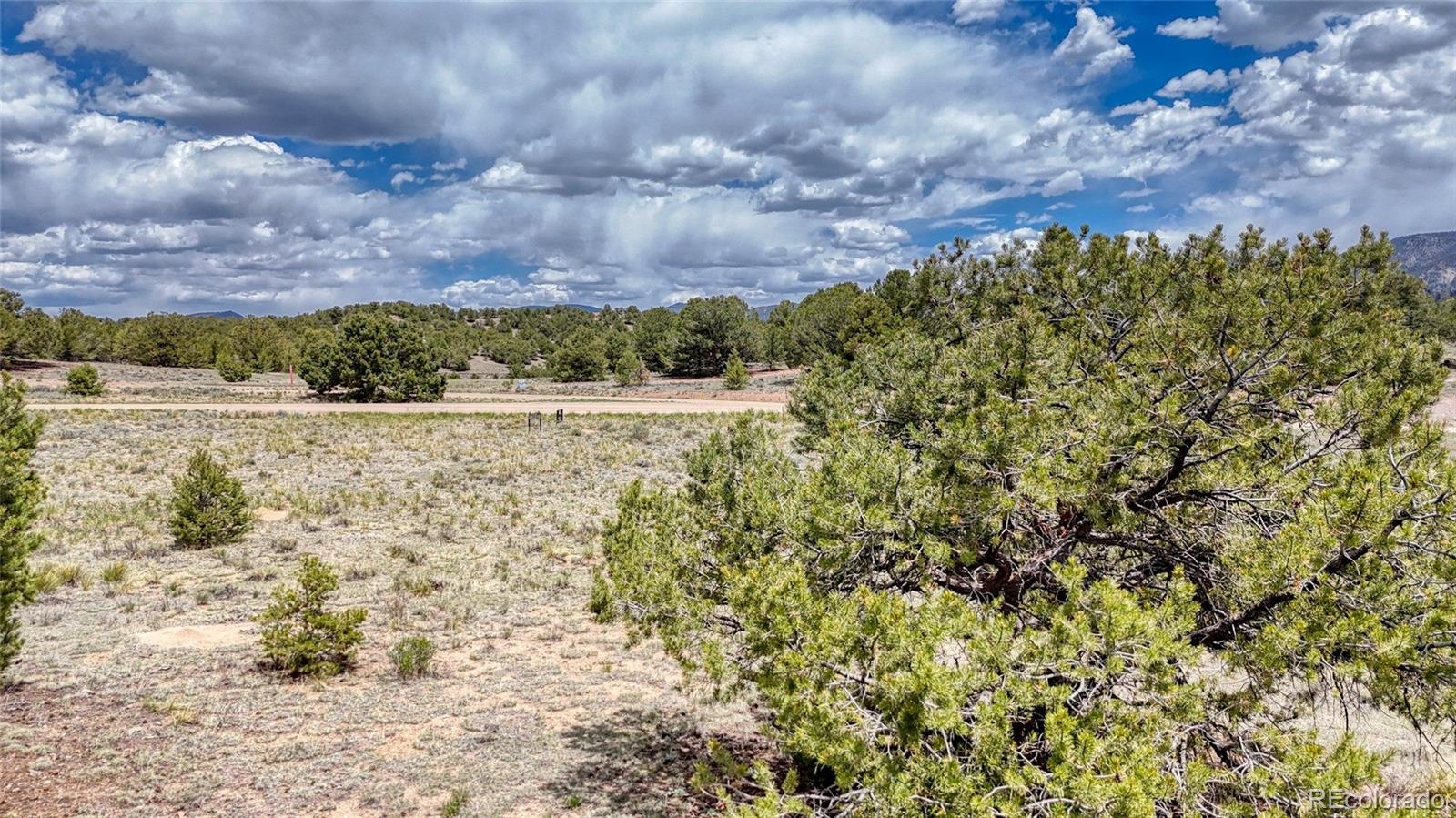 10119 Rawhide Creek Road