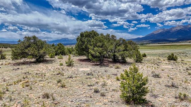 10119 Rawhide Creek Road