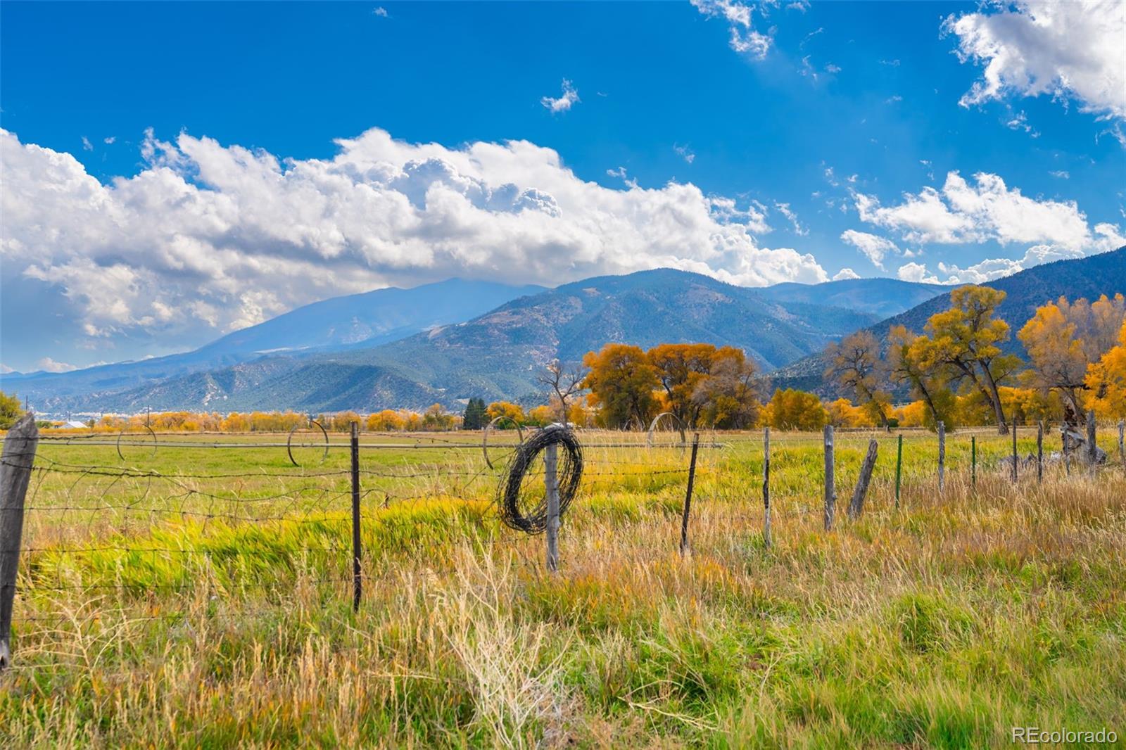 12501 Country Meadow Lane