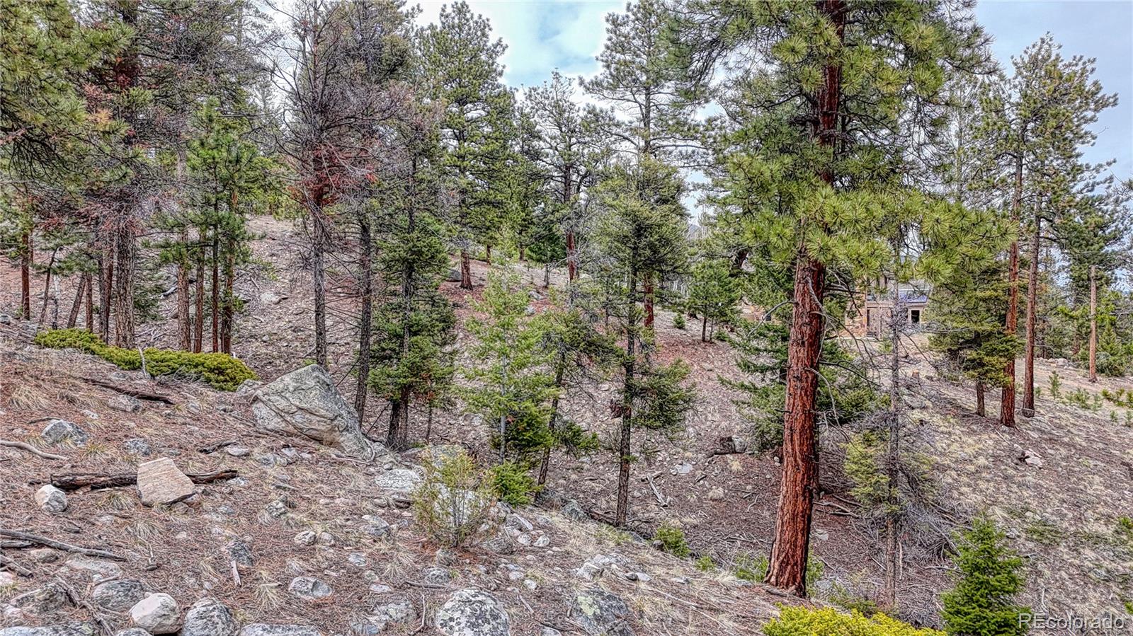 30176 Mountaintop Drive