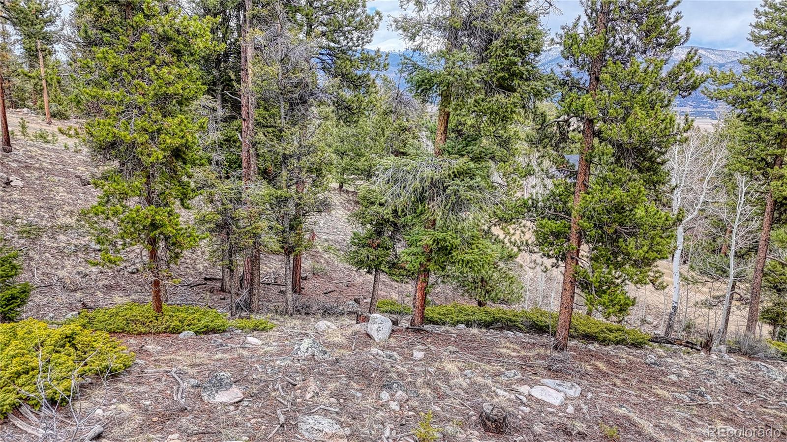 30176 Mountaintop Drive
