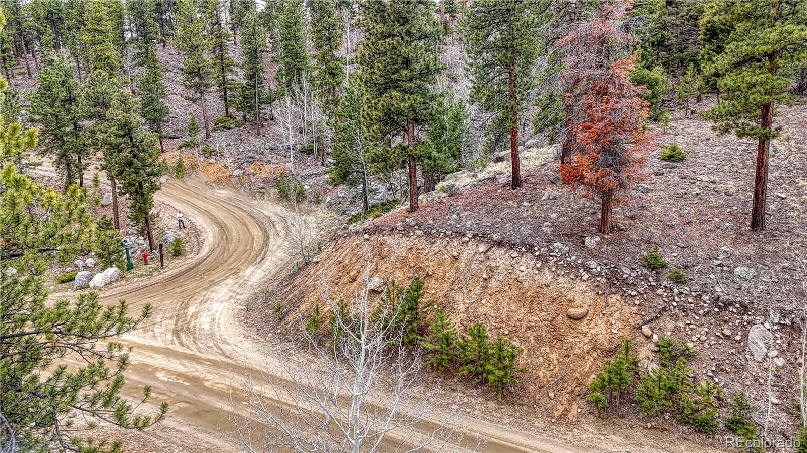 30176 Mountaintop Drive
