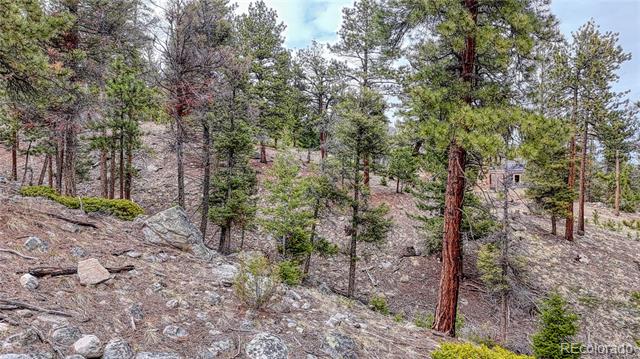 30176 Mountaintop Drive
