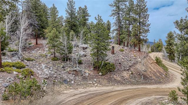 30176 Mountaintop Drive