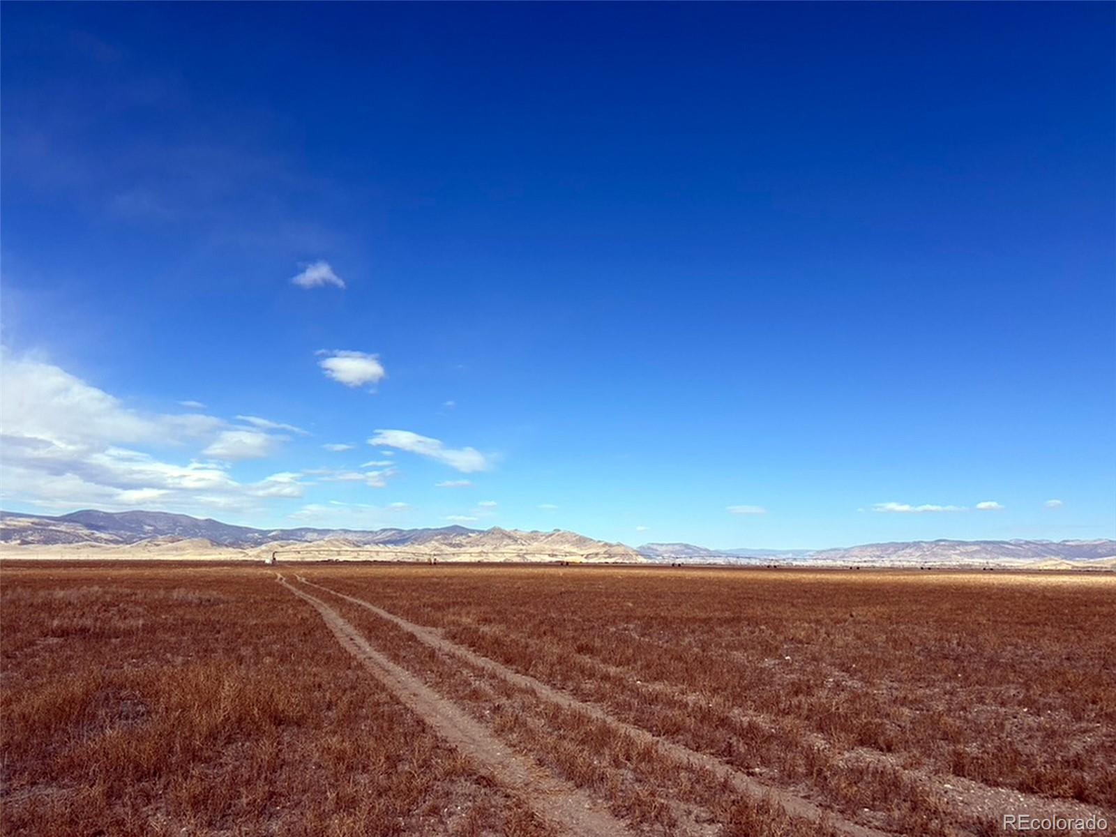 18992 County Road 50