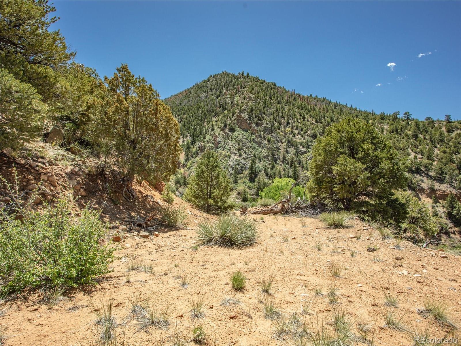 000 TBD County Road 115