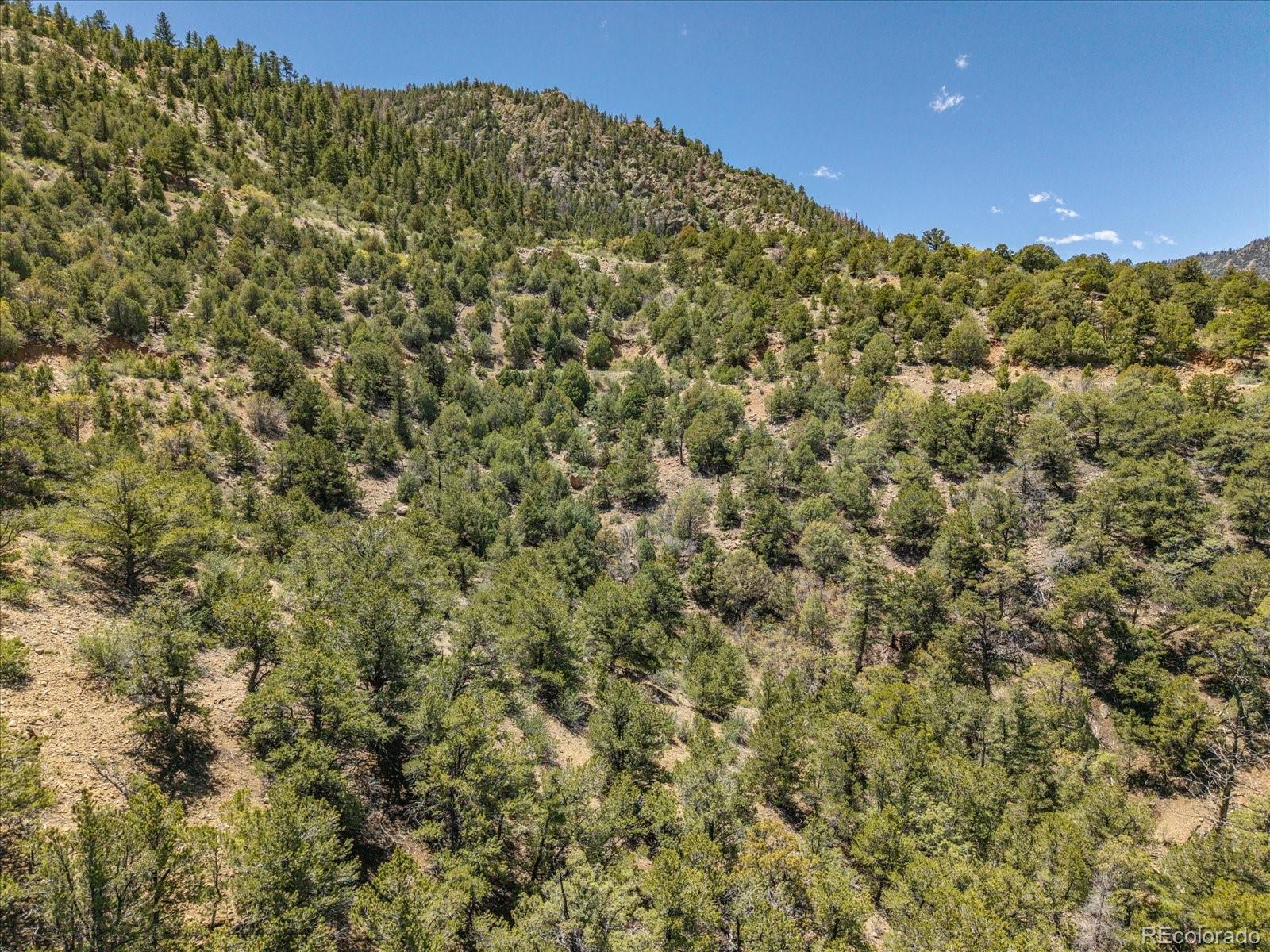 000 TBD County Road 115