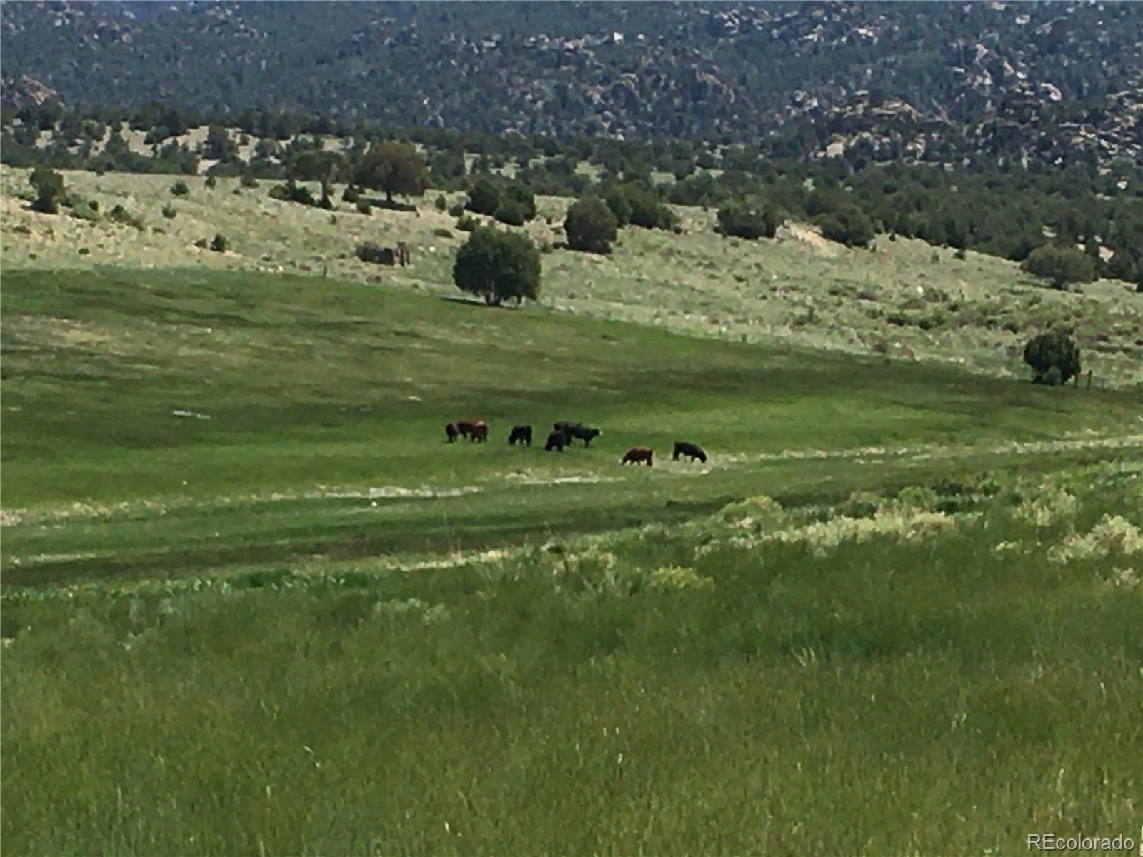 11355 E County Road 270