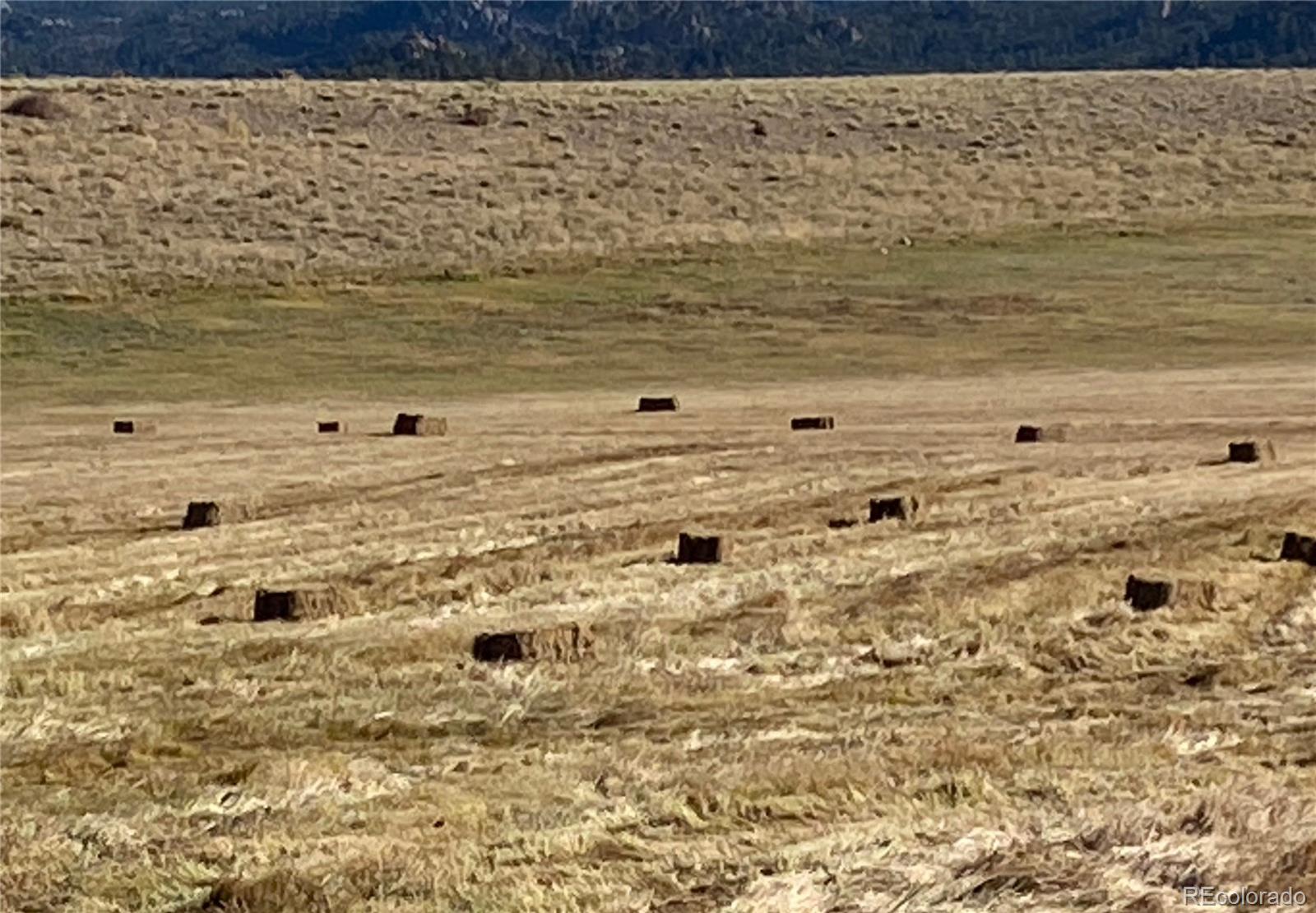 11355 E County Road 270