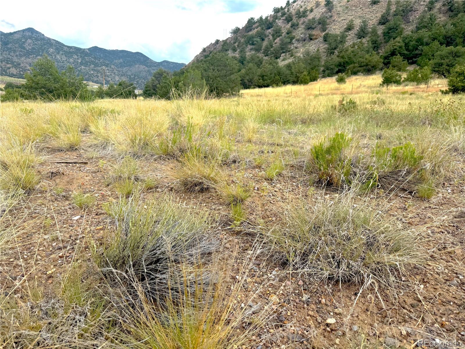 12590 US Highway 50
