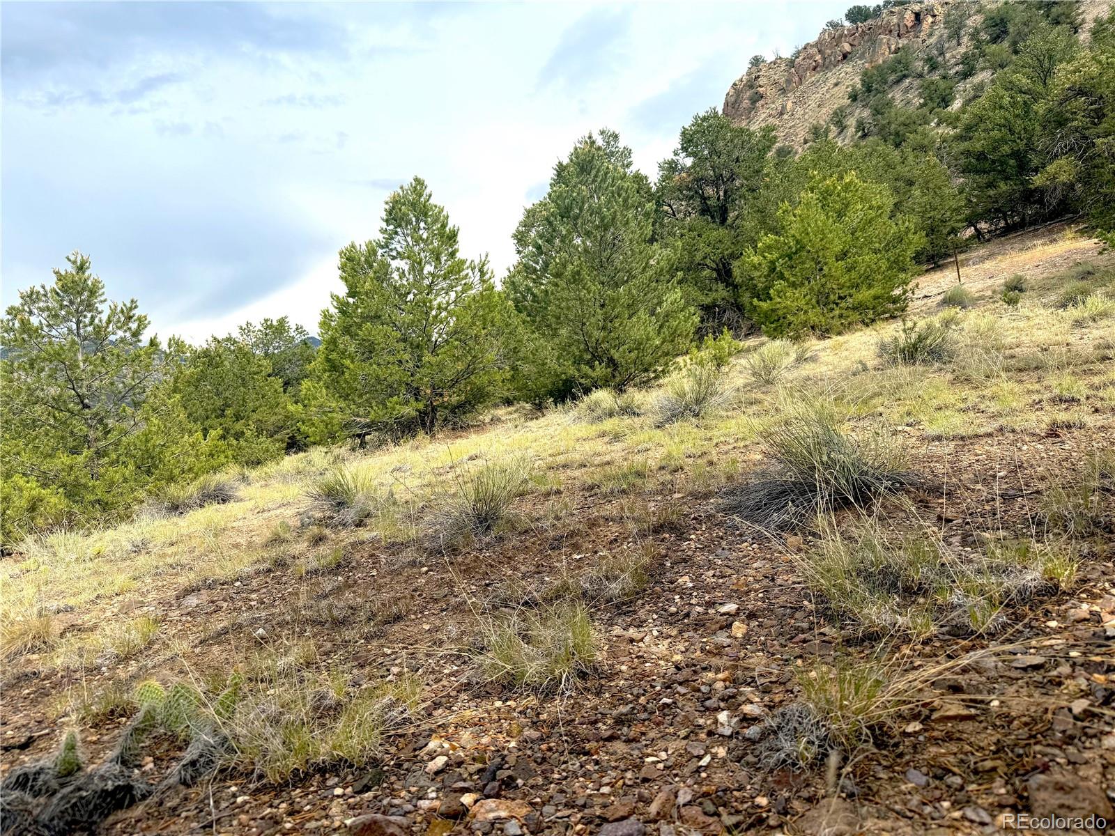 12590 US Highway 50
