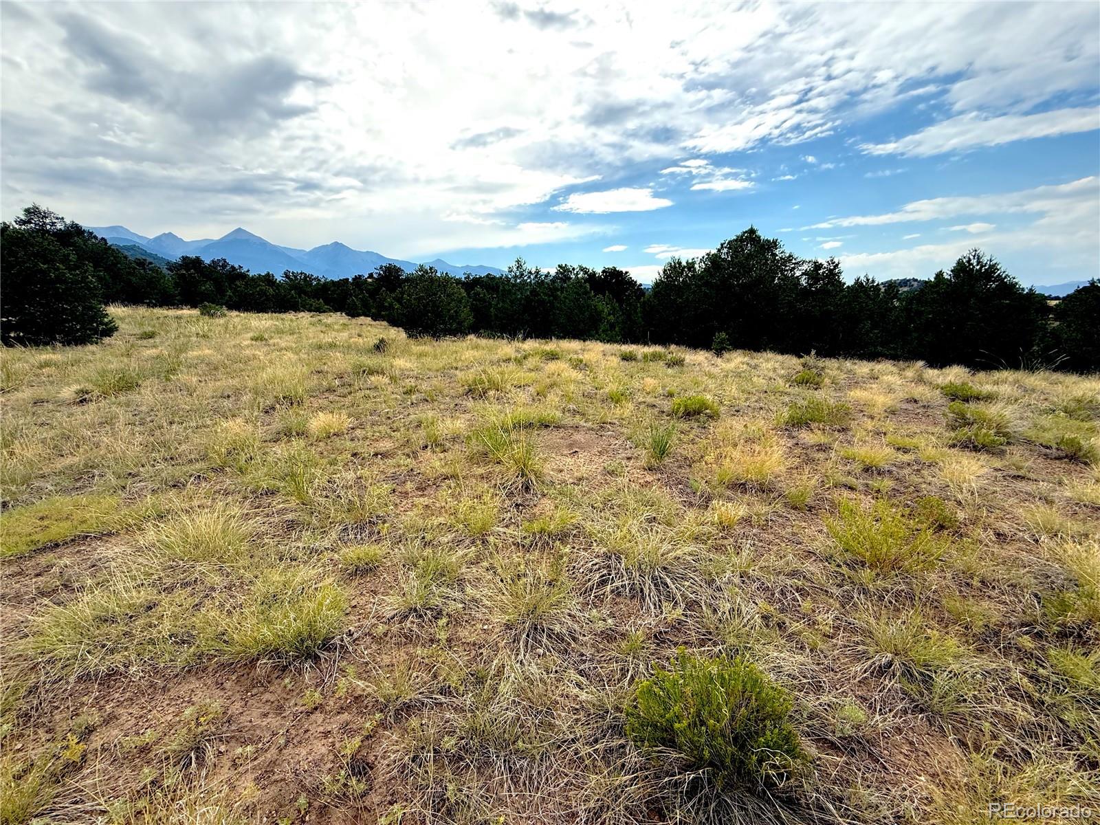 12590 US Highway 50