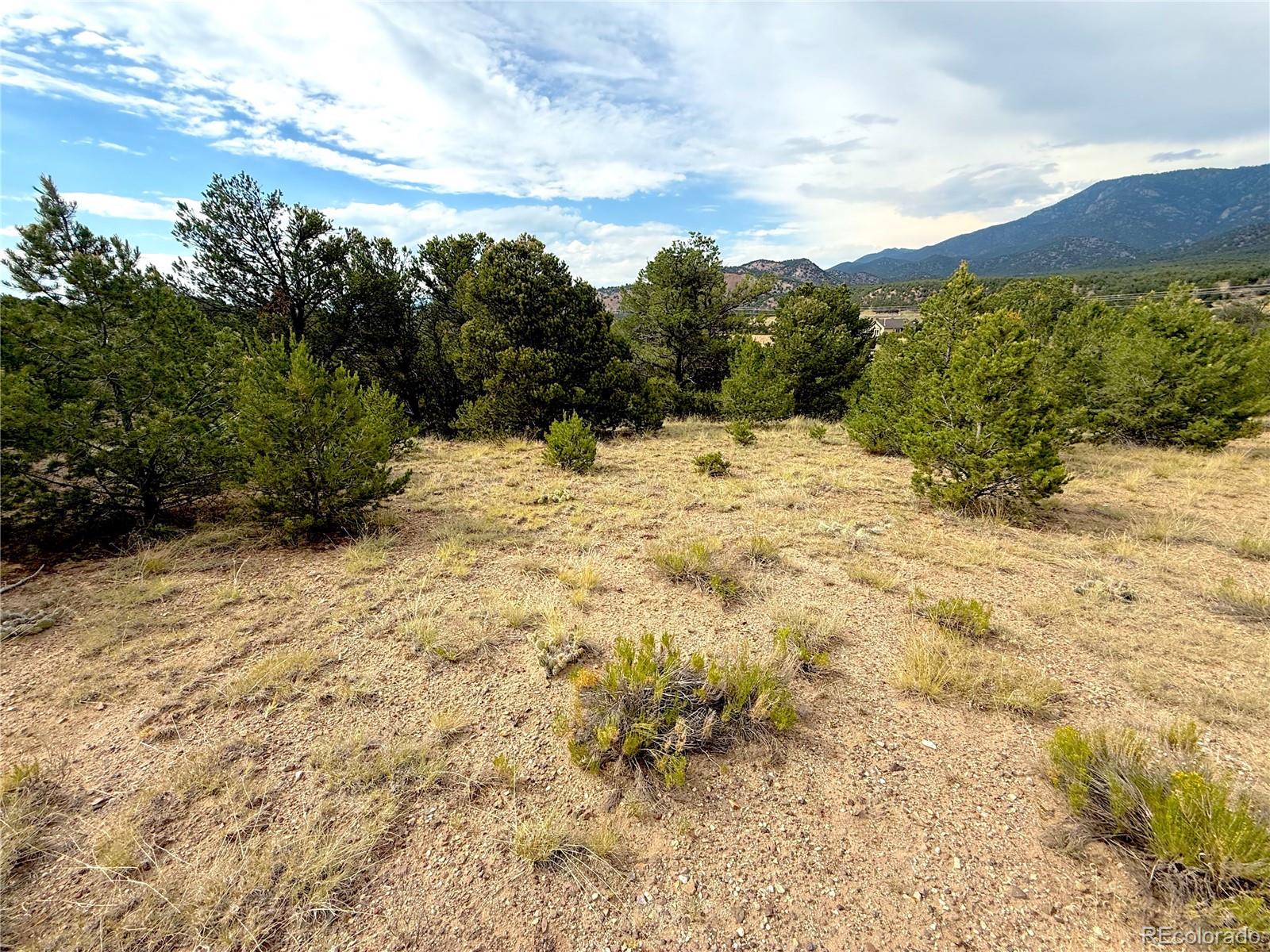 12590 US Highway 50