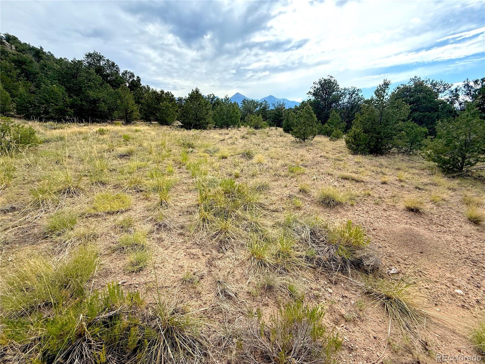 12590 US Highway 50