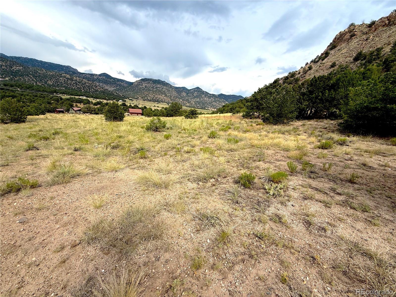 12590 US Highway 50