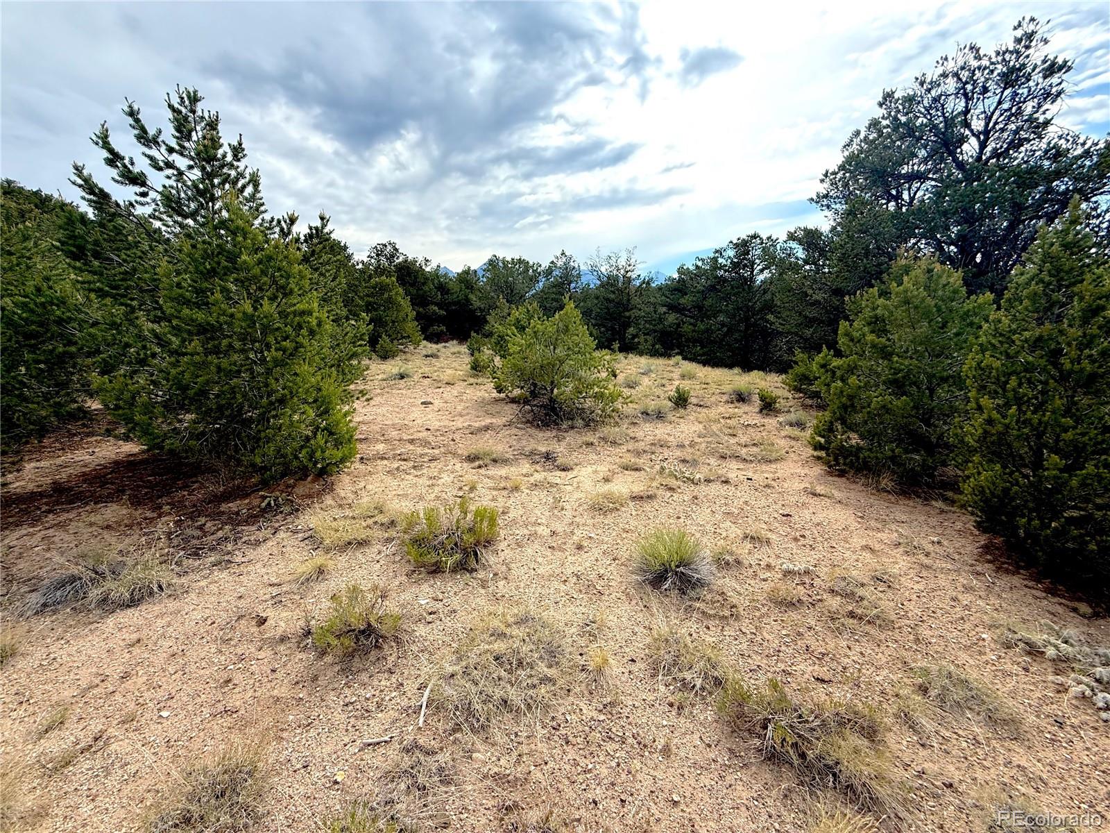 12590 US Highway 50