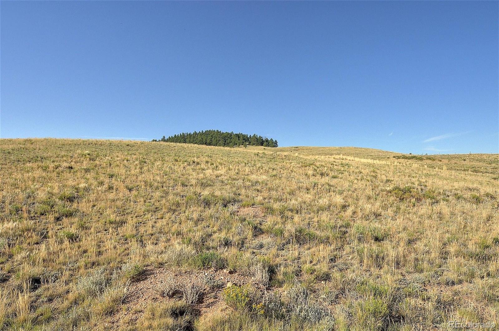 1245 Badger Creek Road