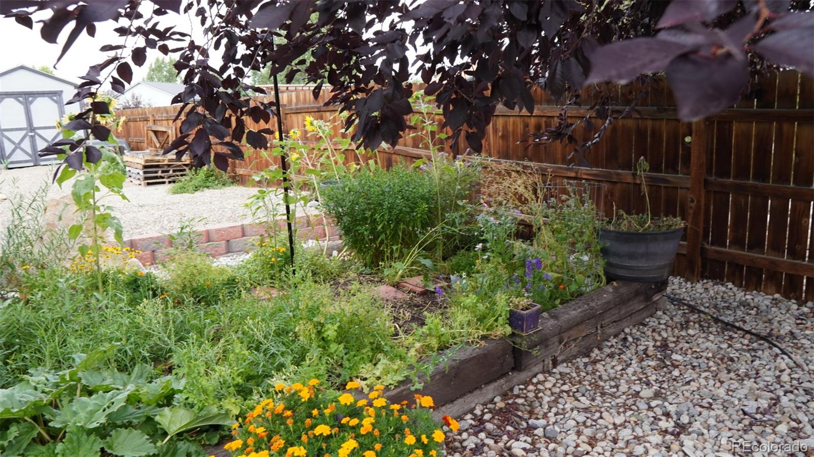 1100 E Sabeta Avenue