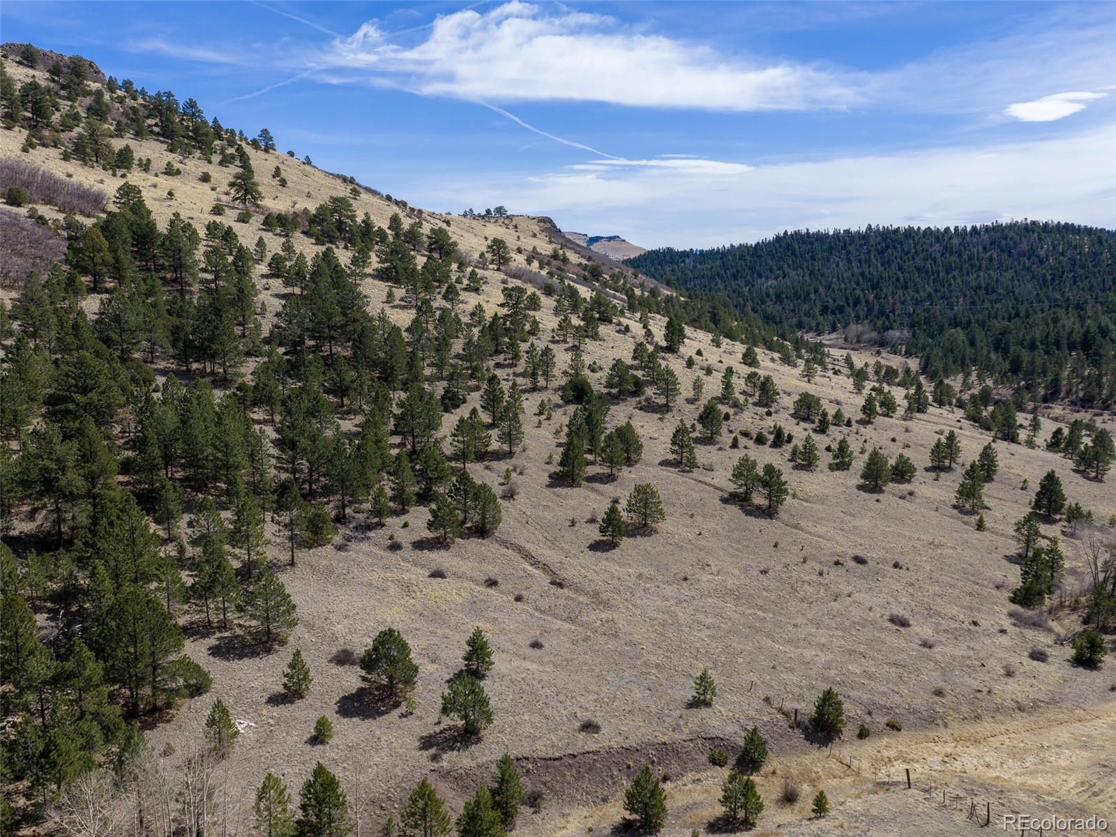 314 S Antelope Trail