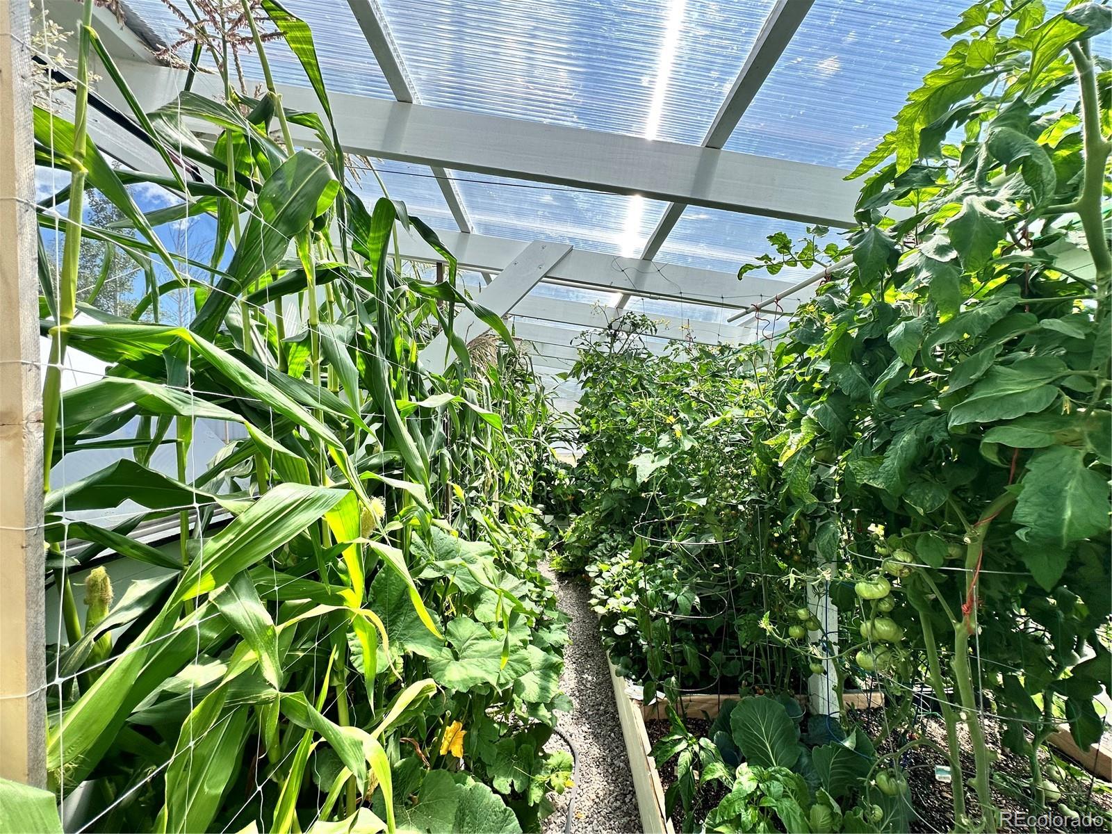 60248 County Road Ll57