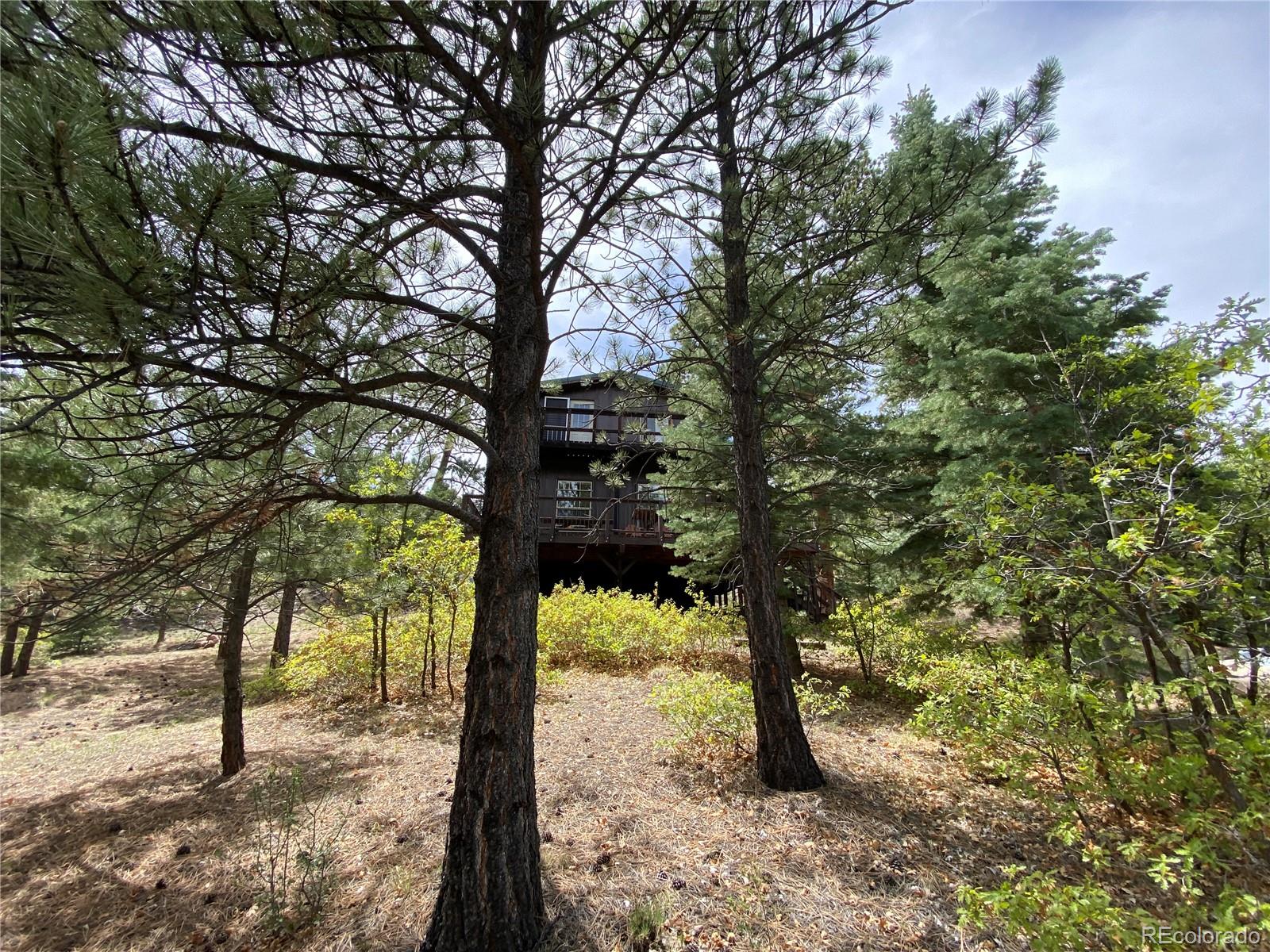 1927 Basin Drive