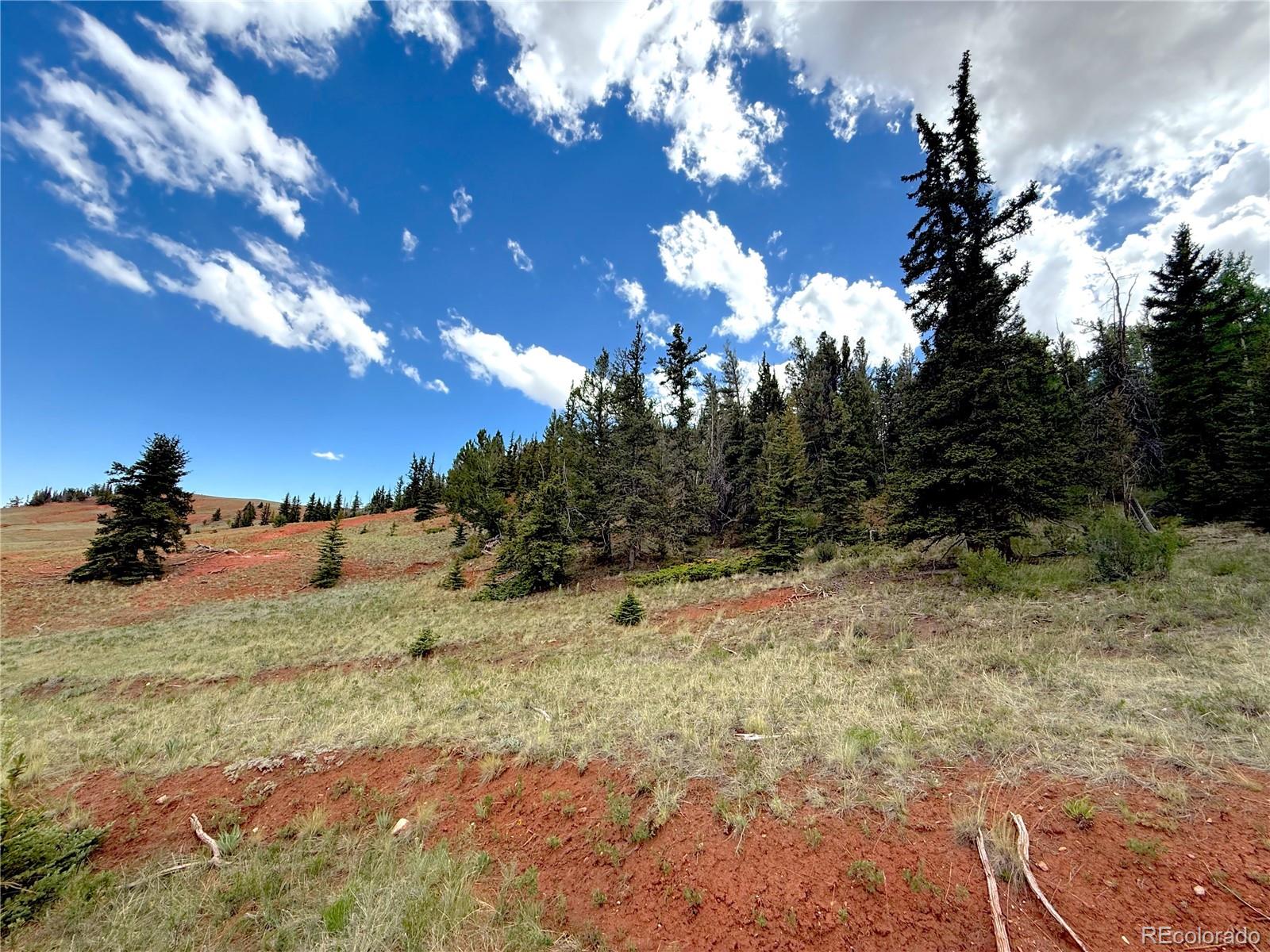 4319 Meier Ridge Trail