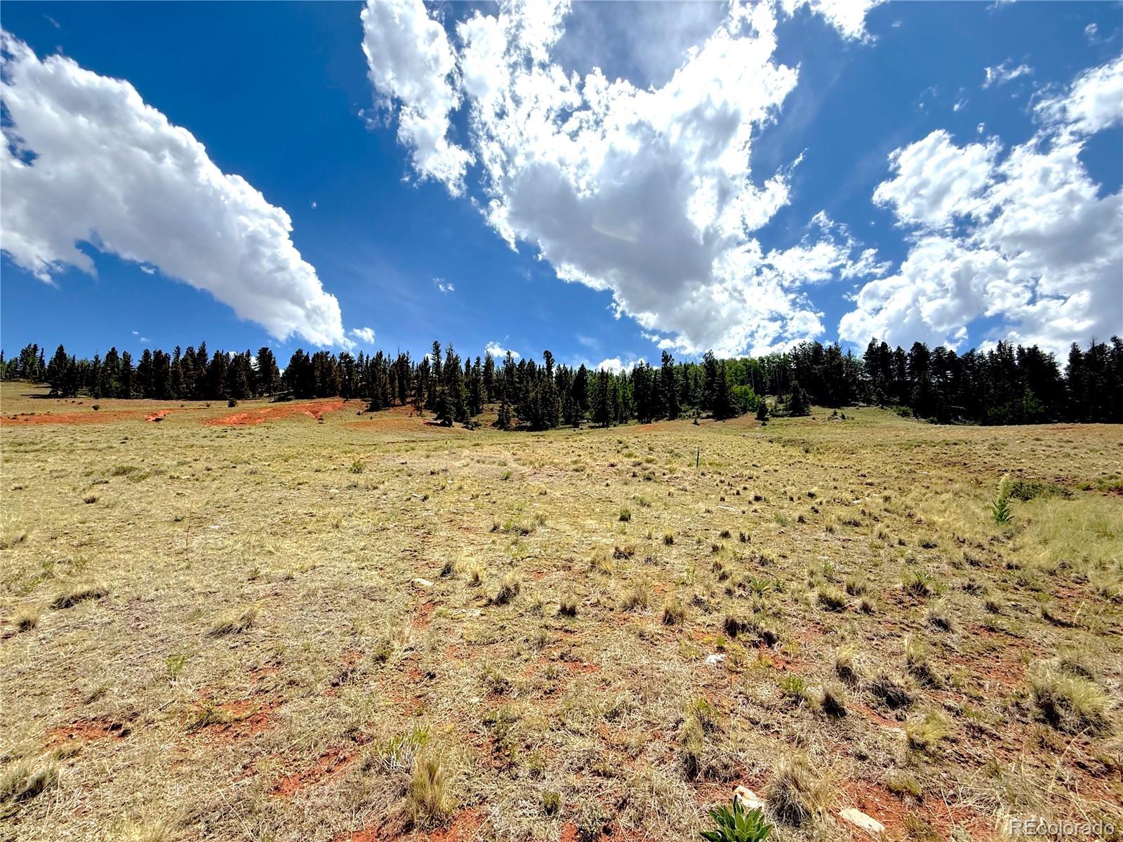 4319 Meier Ridge Trail