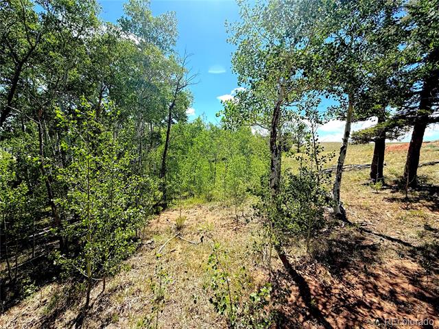 4319 Meier Ridge Trail