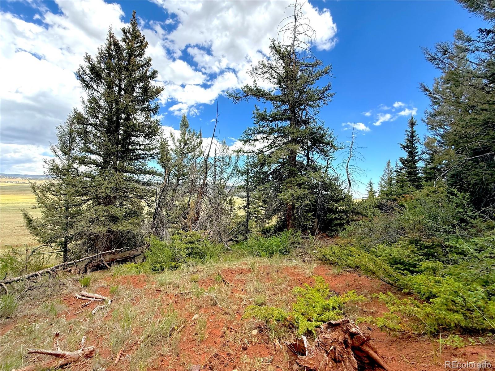 4319 Meier Ridge Trail