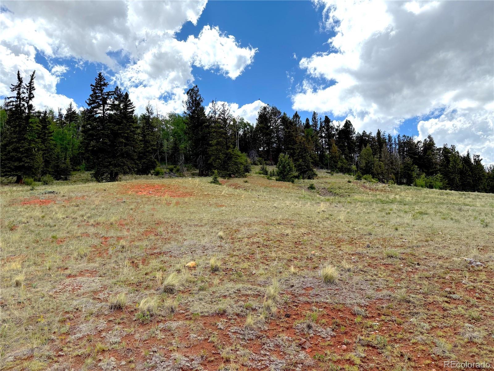 4319 Meier Ridge Trail